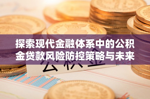 易门探索现代金融体系中的公积金贷款风险防控策略与未来发展趋势